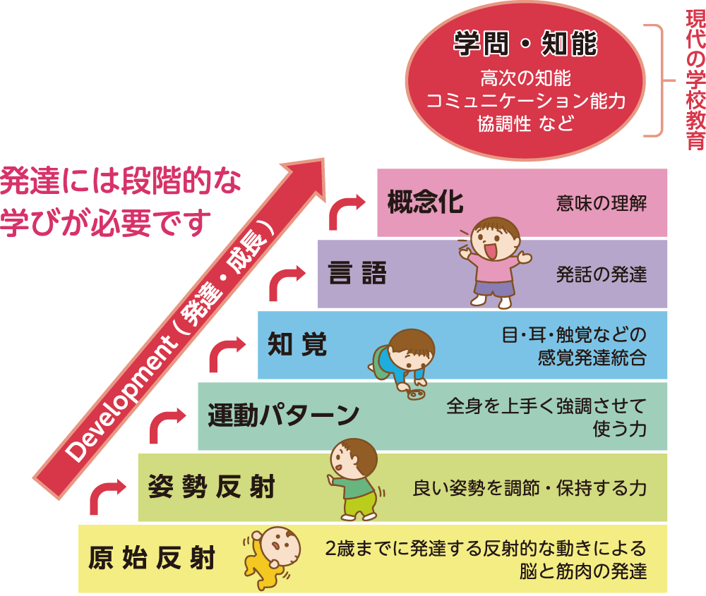 発達ヒエラルキー
